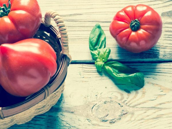 Beschrijving van de tomatenvariëteit Hali Gali