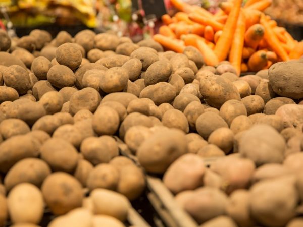Regels voor het bewaren van aardappelen in een kelder in de winter