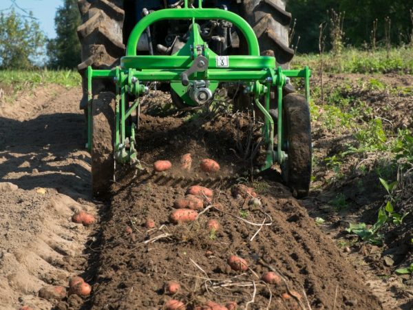 Excavadora de patatas para mini tractor