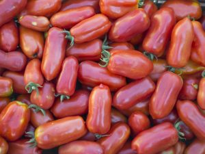 Beschrijving van de Cornabel-tomaat