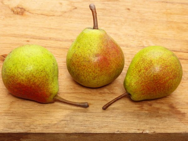 Plody jsou kulatého tvaru, hmotnost nepřesahuje 120 g
