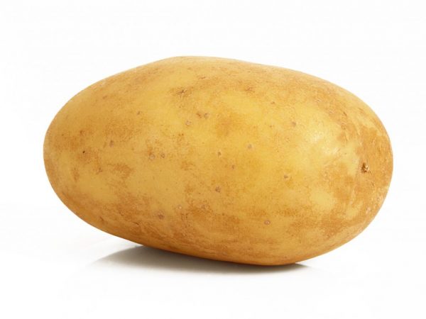 Description of potatoes Lad