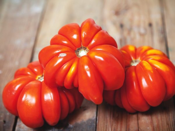 Kenmerken van de Lorraine-schoonheid van tomaten