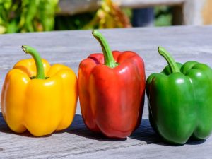Επιλέγοντας ποικιλίες πιπεριού για την περιοχή του Λένινγκραντ