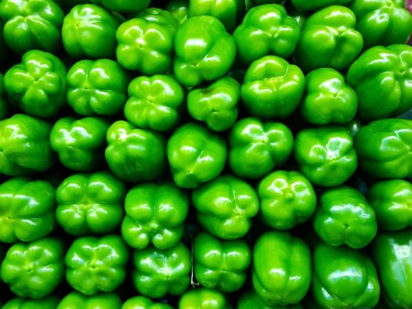 Οι πιπεριές καλλιεργούνται πιο συχνά σε θερμοκήπια.