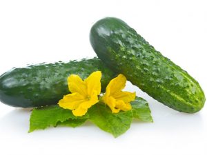 Beschrijving van de variëteit aan komkommers Monisia