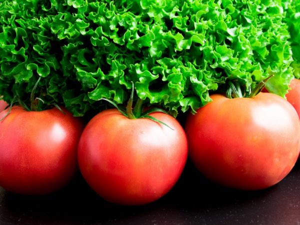 Egenskaper hos Moskvich-tomatvarianten