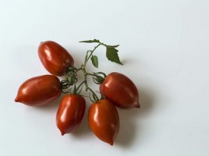 Egenskaper hos Niagara-tomaten