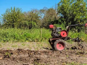 Házení brambor vedeným traktorem