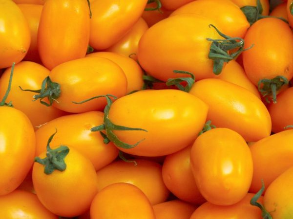 Kenmerken van de tomatenvariëteit Olesya