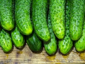 Oorzaken van de bittere smaak van komkommers