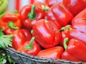 Lettuce pepper varieties Gift of Moldova