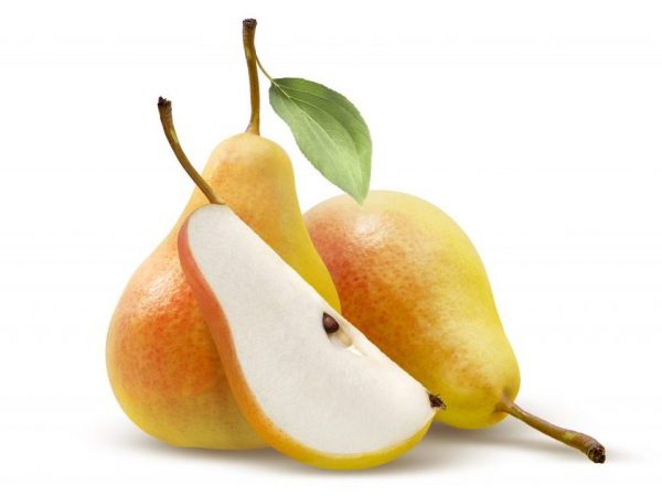 Greutatea fructelor variază de la 80 la 120 de grame.