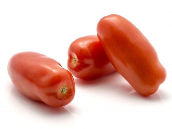 Kenmerken van de variëteit aan tomaten Siberische verrassing