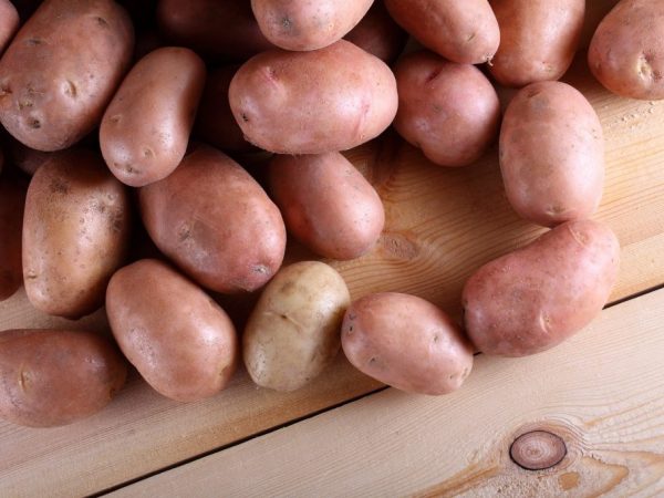 Description of potatoes Lilac Mist