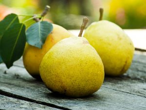 Kaloriinnehåll i päron