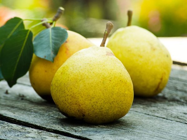 Kaloriinnehåll i päron