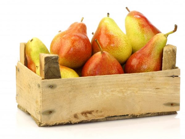 Descripción de las frutas de pera