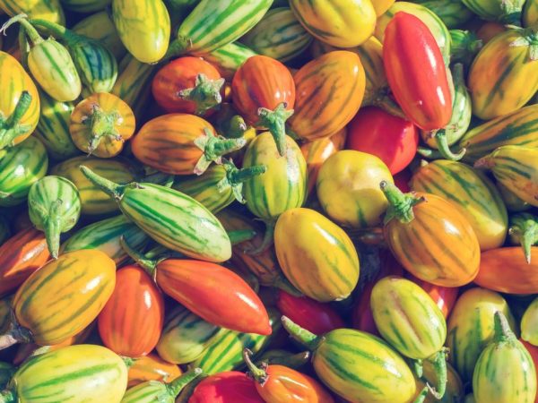 Kännetecken för Chudo-tomater