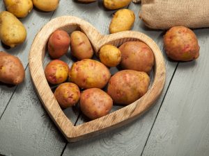 Beschrijving van aardappelen Svitanok Kievsky