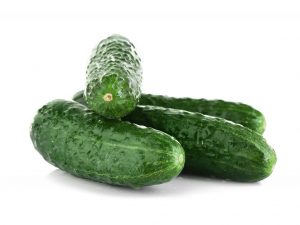 Kenmerken van temp f1 komkommer