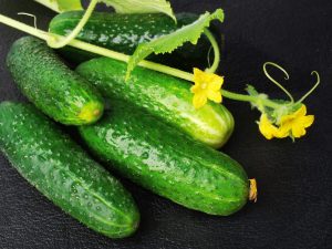 Kenmerken van de variëteit aan komkommers Schoonmoeder en Zyatek