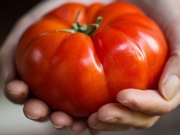 Descripción y características de los tomates Heavyweight de Siberia.