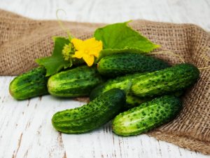 Kenmerken van komkommervariëteit Veselye Gnomiki