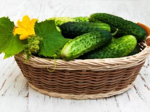 Characteristics of grape bunch of cucumbers