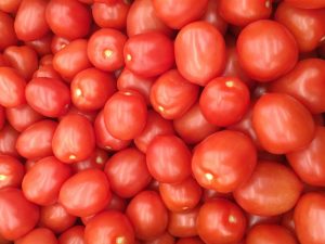 Vitaminegehalte in tomaten