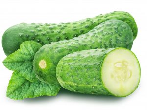 Kenmerken van de variëteit aan komkommers Vyaznikovsky 37