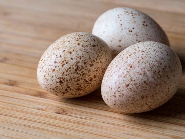 Výhody a poškození krůtích vajec