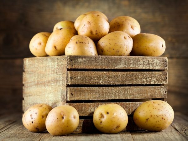 Regler för att göra en låda för potatis