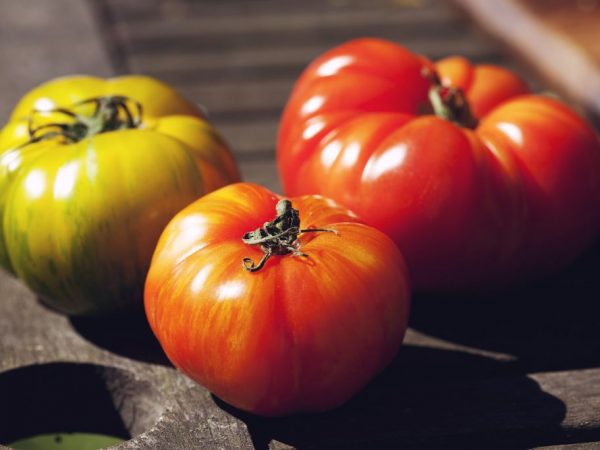 Características y descripción de los tomates Yusupov.
