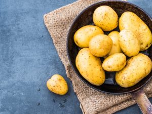 Characteristics of Zekura potatoes