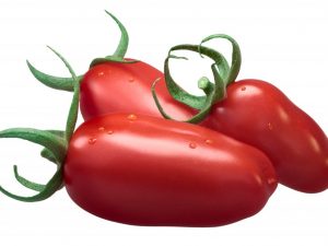 Beschreibung der Tomate Zhigalo