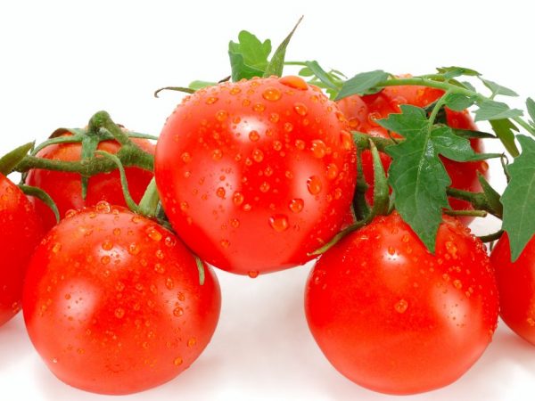 Los tomates pueden considerarse frutas