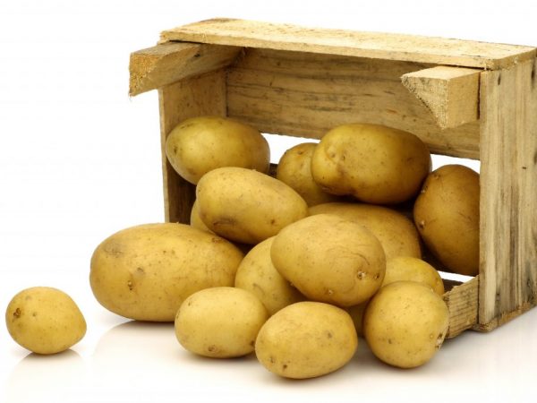 Lagra potatis på balkongen på vintern