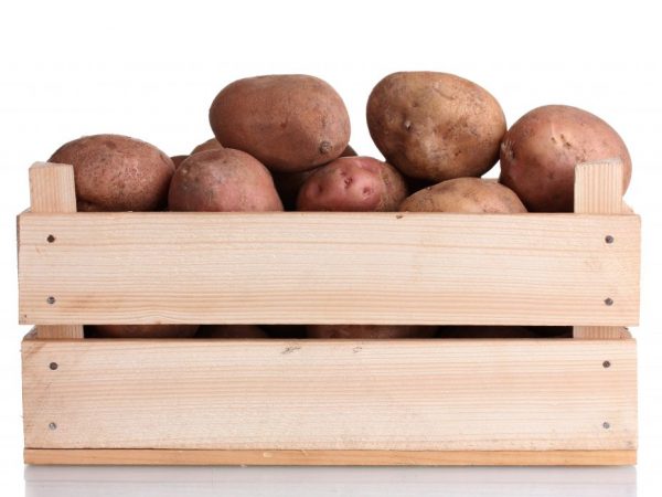 The shelf life of potatoes can be increased
