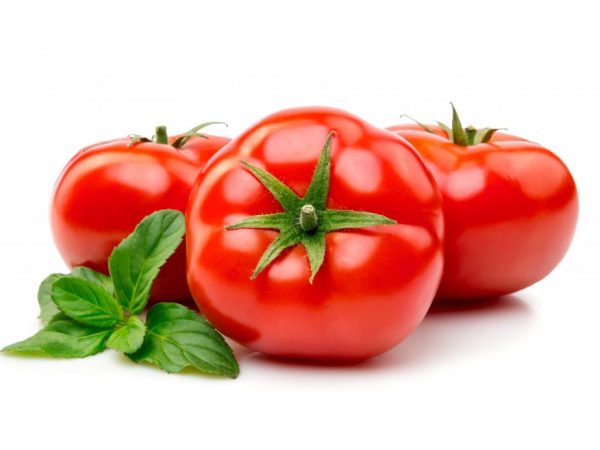 Almacenamiento de tomates frescos