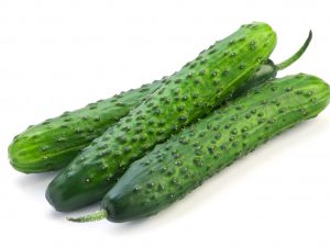 Kenmerken van Chinese winterharde komkommer