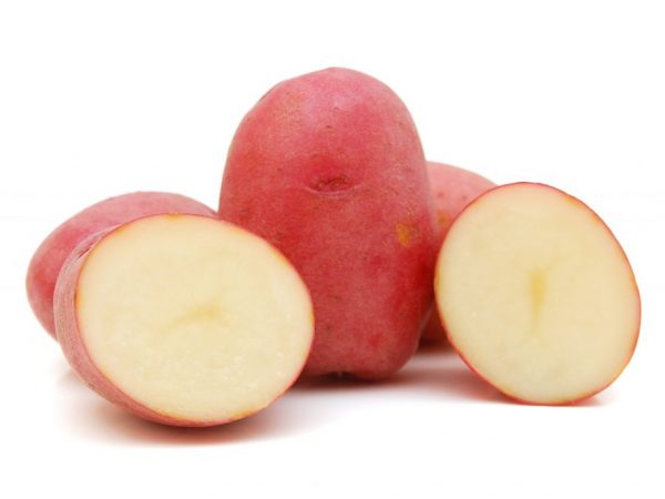 Vlastnosti odrůdy brambor Labella