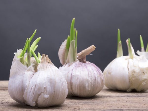 Peel the garlic