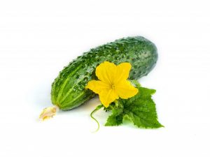 Beschrijving van variëteiten van komkommers met de letter E