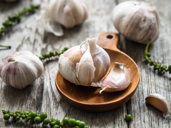 Spring garlic has a long shelf life