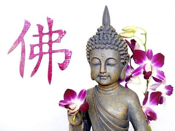 Η έννοια του ορχιδέα λουλουδιού στο Φενγκ Σούι