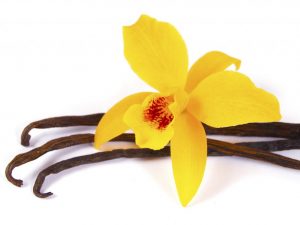 Péče o orchideje Promenaeum