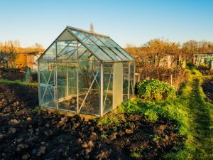 Bygga ett växthus för tomater