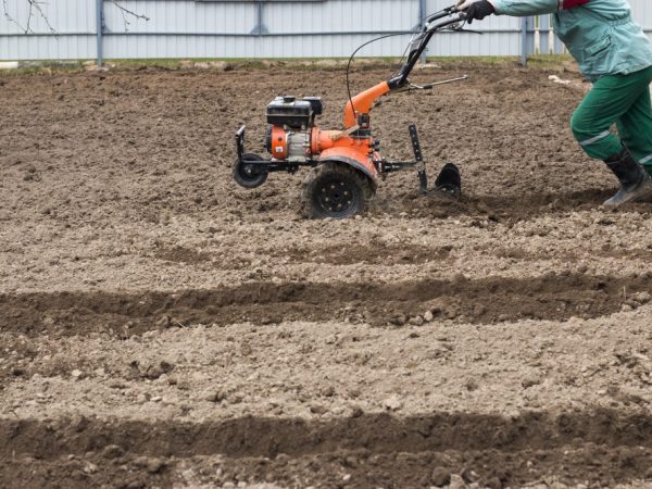 The plow will speed up the potato planting process