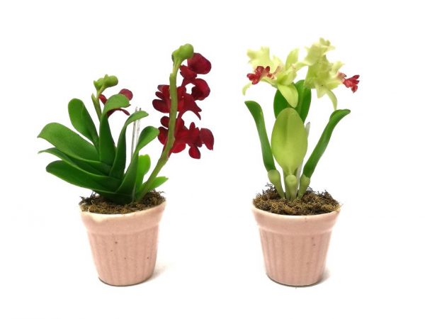 Výhody seramisu pro orchideje